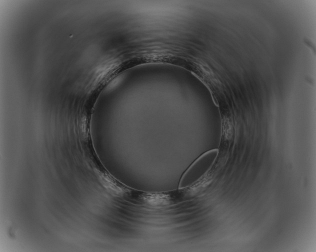 X0000092050670200709121214