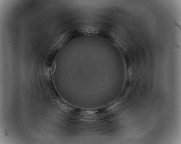 X0000092050671200709121214