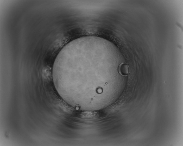 X0000092050672200709121214