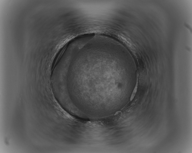 X0000092050673200709121213