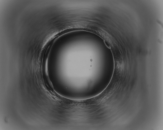 X0000092050676200709121213