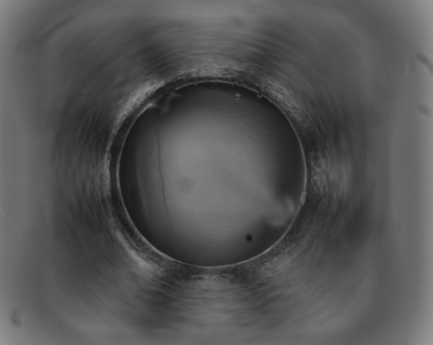 X0000092050678200709121213