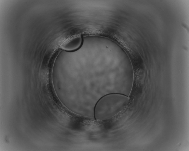 X0000092050679200709121213