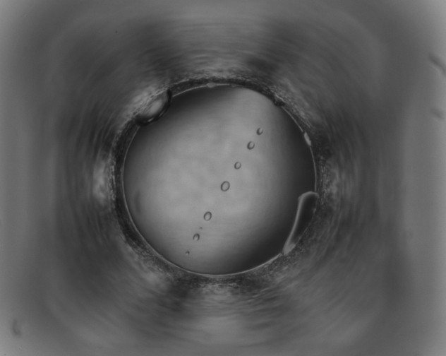 X0000092050680200709121213