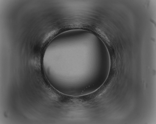 X0000092050681200709121213