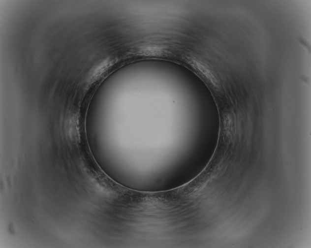 X0000092050682200709121213