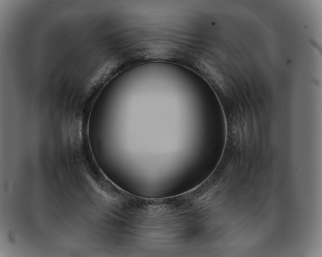 X0000092050686200709121213