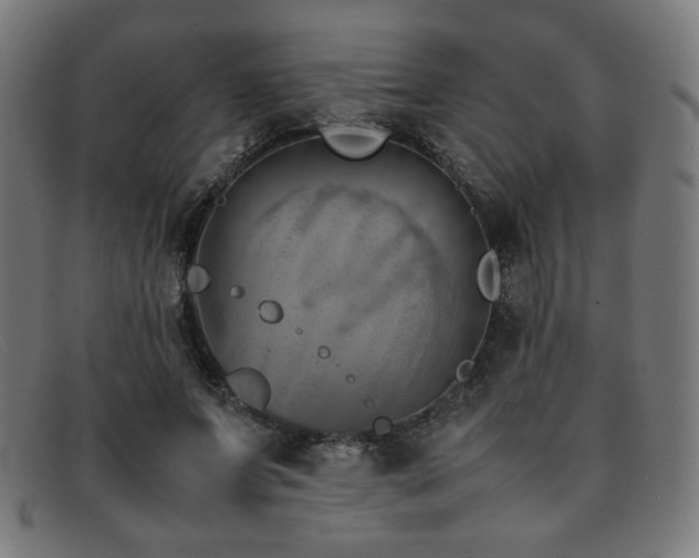 X0000092050687200709121213