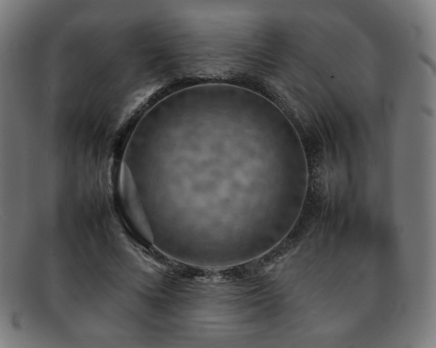 X0000092050688200709121213