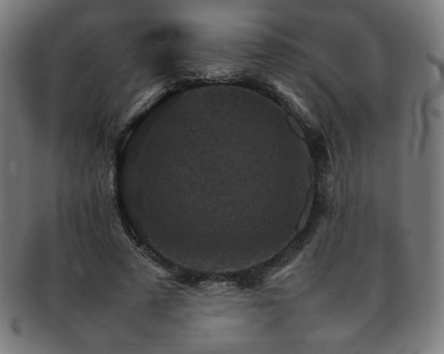 X0000092050689200709121213