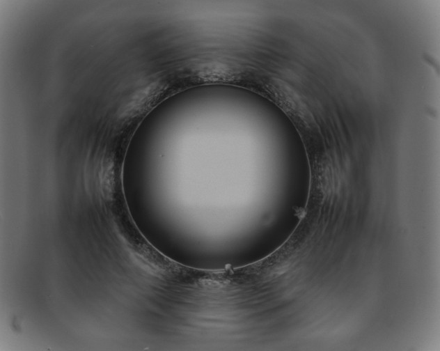 X0000092050690200709121213