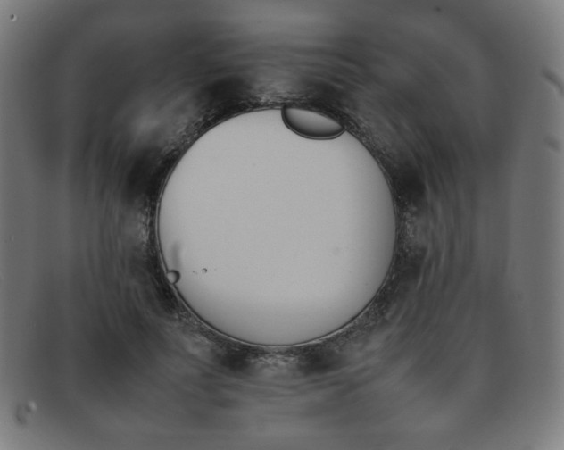 X0000092050691200709121213