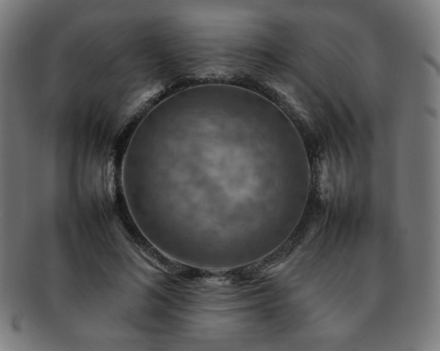 X0000092050692200709121213