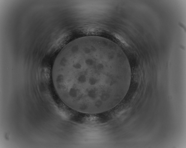 X0000092050695200709121213