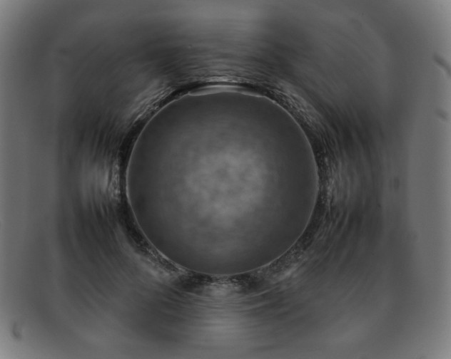 X0000092050696200709121213