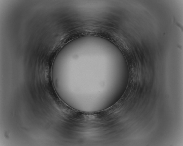 X0000092050698200709121213