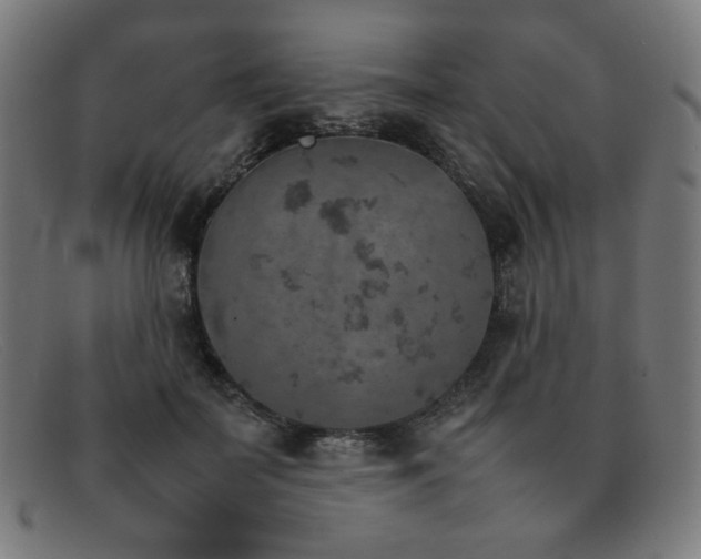 X0000092050699200709121213