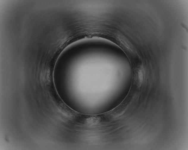 X0000092050700200709121213