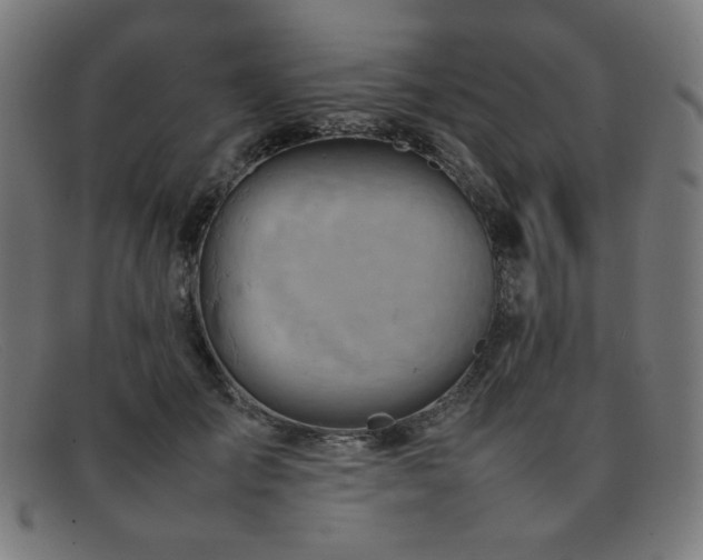 X0000092050701200709121213