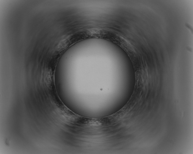 X0000092050702200709121213