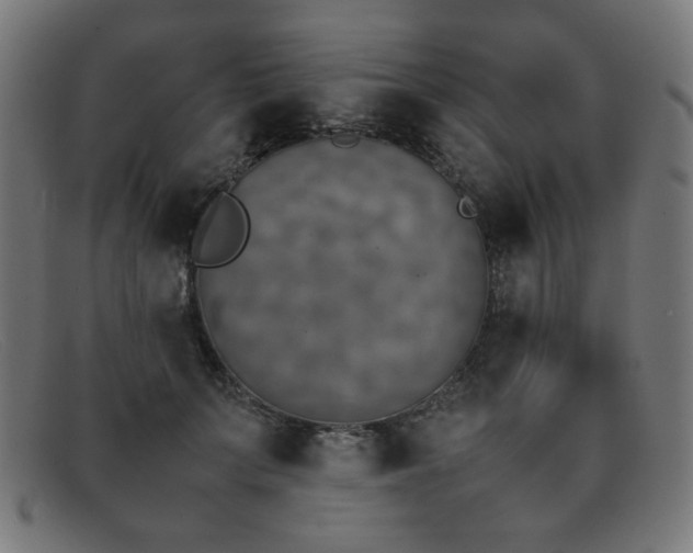 X0000092050703200709121213