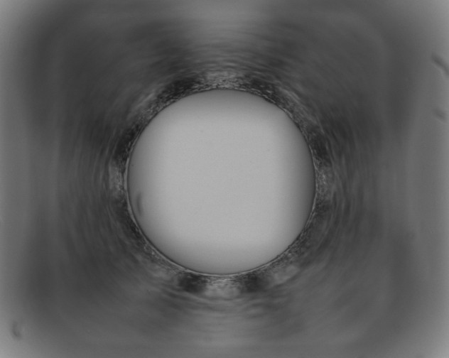 X0000092050705200709121213