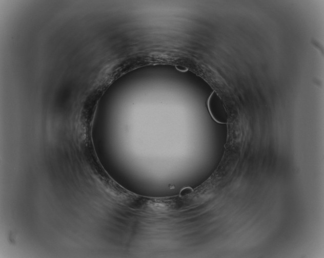 X0000092050706200709121213