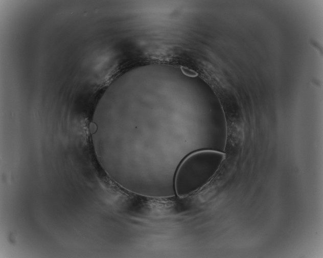 X0000092050707200709121213