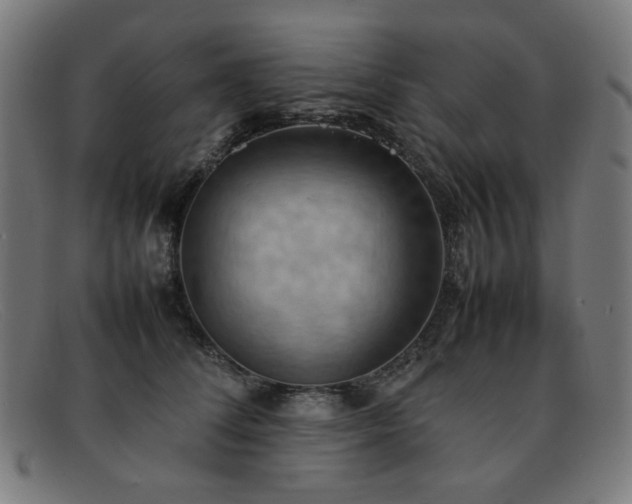 X0000092050708200709121213