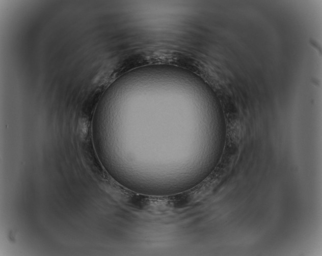 X0000092050709200709121213