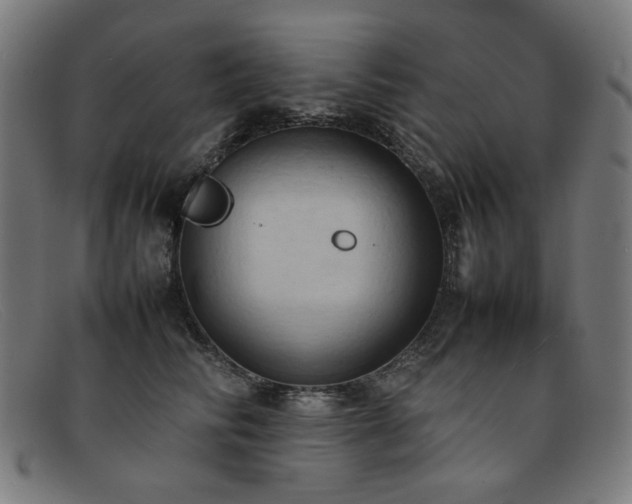 X0000092050710200709121213