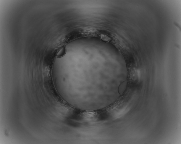 X0000092050711200709121213