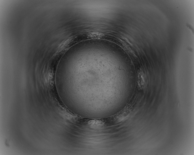 X0000092050714200709121212