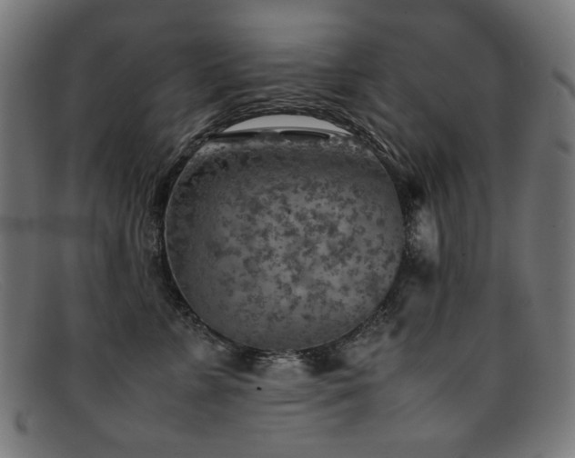 X0000092050715200709121212