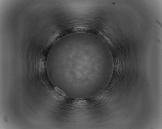 X0000092050716200709121212