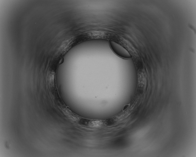 X0000092050717200709121212