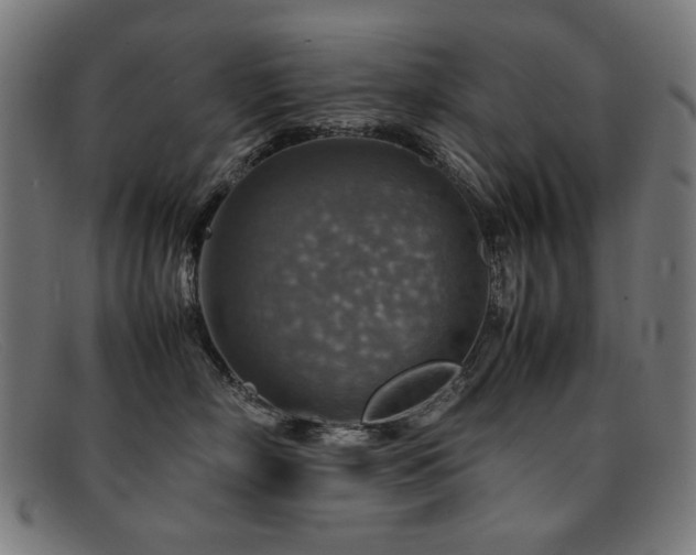 X0000092050718200709121212