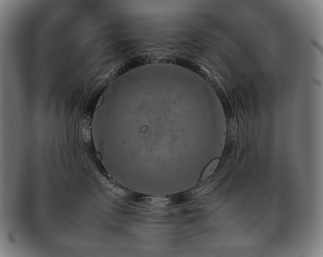 X0000092050719200709121212