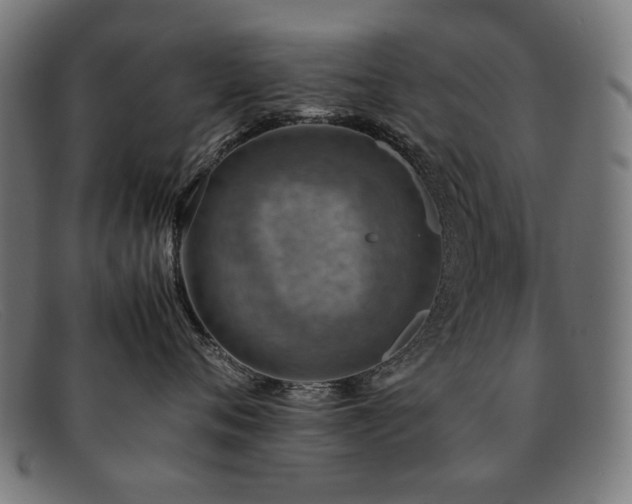 X0000092050720200709121212