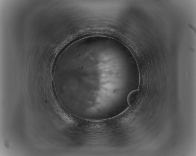 X0000092050721200709121212