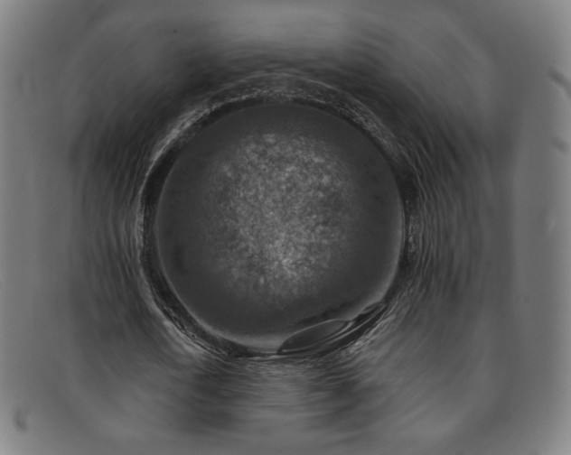 X0000092050722200709121212