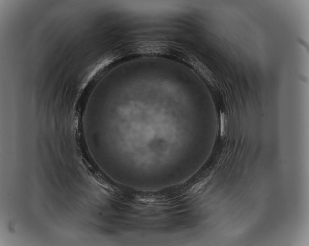 X0000092050723200709121212