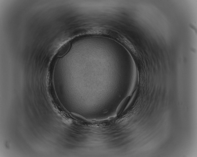 X0000092050724200709121212