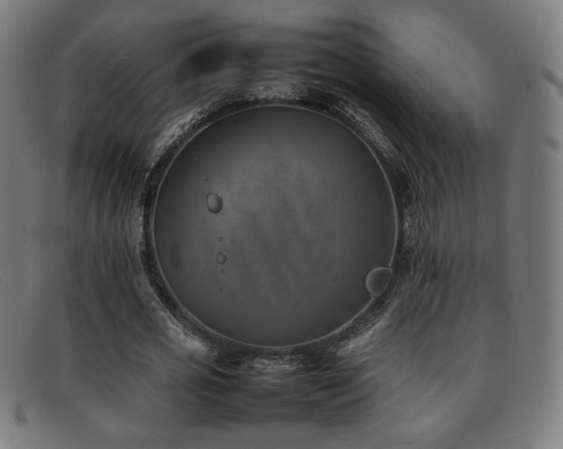 X0000092050725200709121212