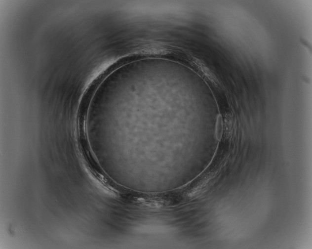 X0000092050726200709121212