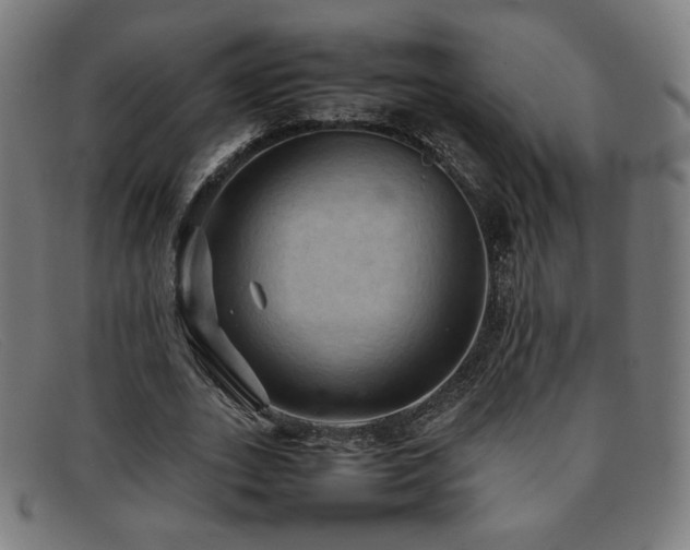 X0000092050727200709121212