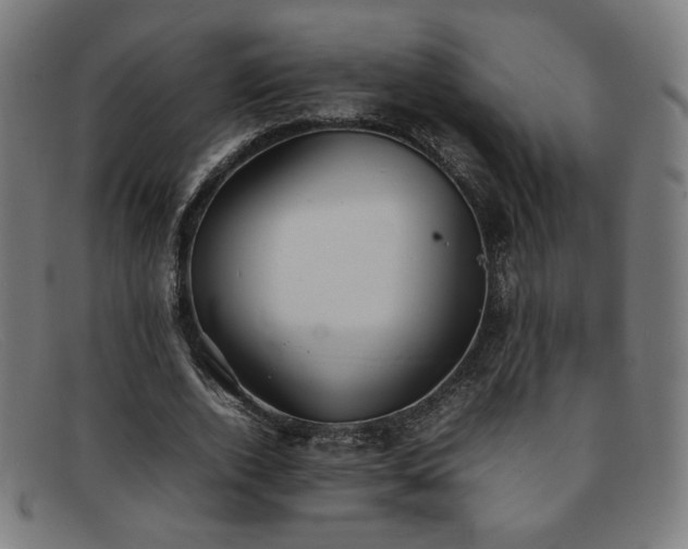 X0000092050728200709121212