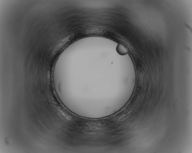 X0000092050729200709121212