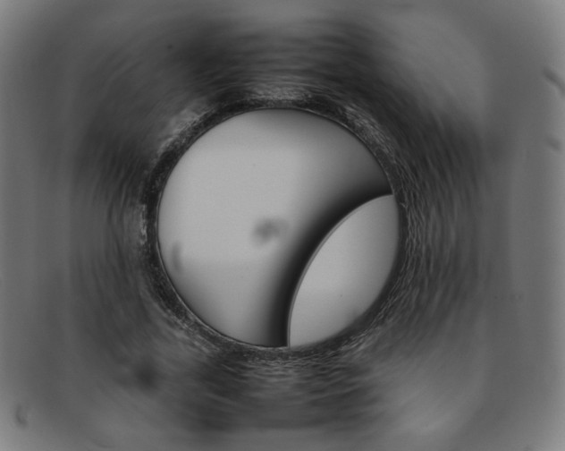 X0000092050731200709121212