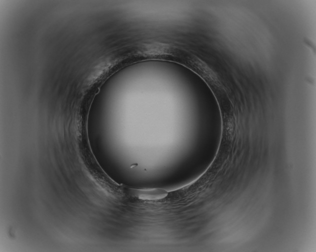 X0000092050732200709121212